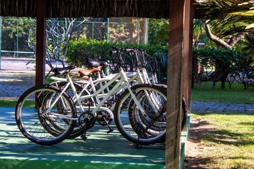 c+¦pia de img_2226.jpg