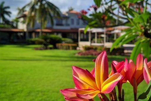 cópia de pxl_20211027_154751786.mp.jpg