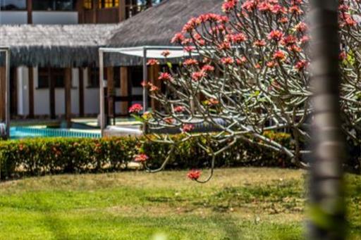 cópia de img_0642.jpg