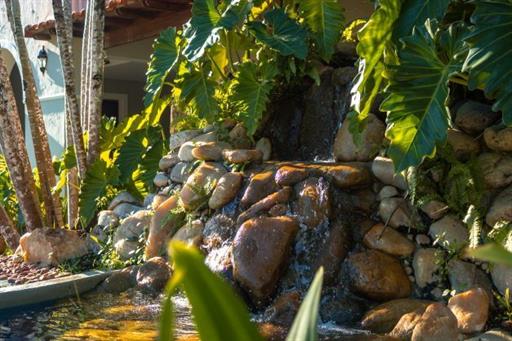 cópia de img_2143.jpg