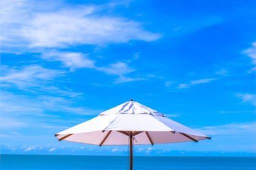 cópia de img_1854.jpg