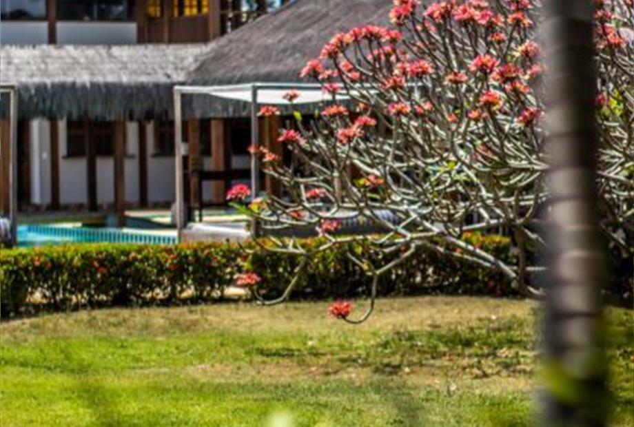 cópia de img_0642.jpg