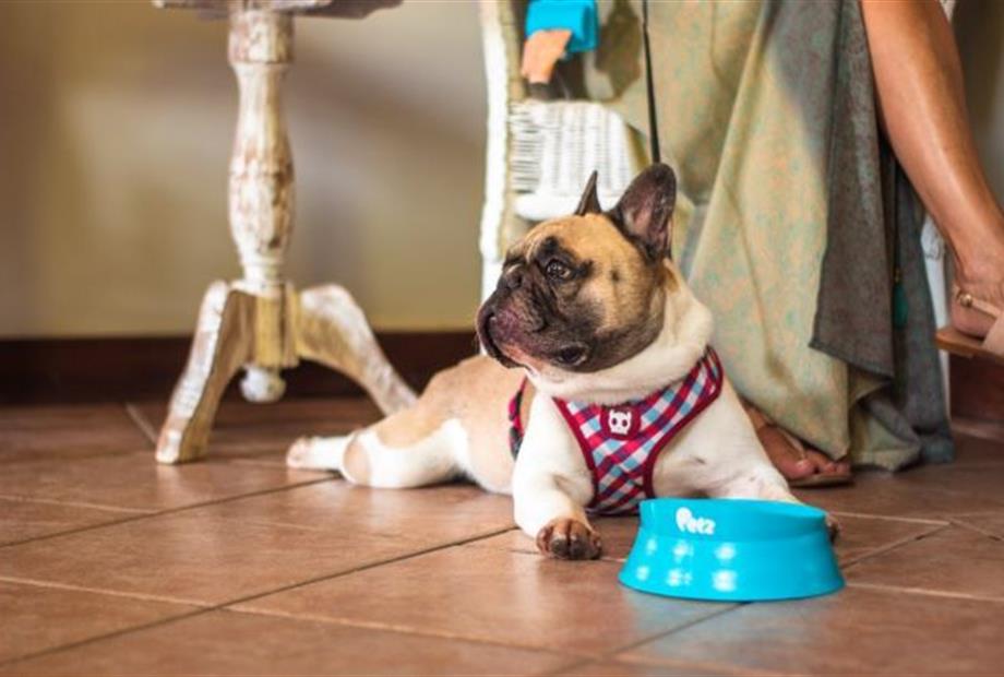 cópia de img_1939.jpg