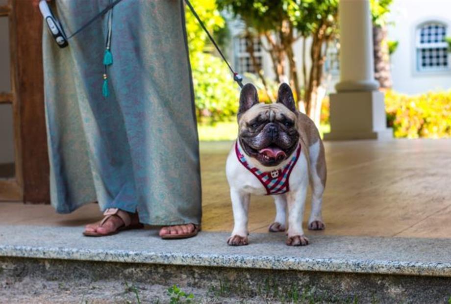 cópia de img_1926.jpg