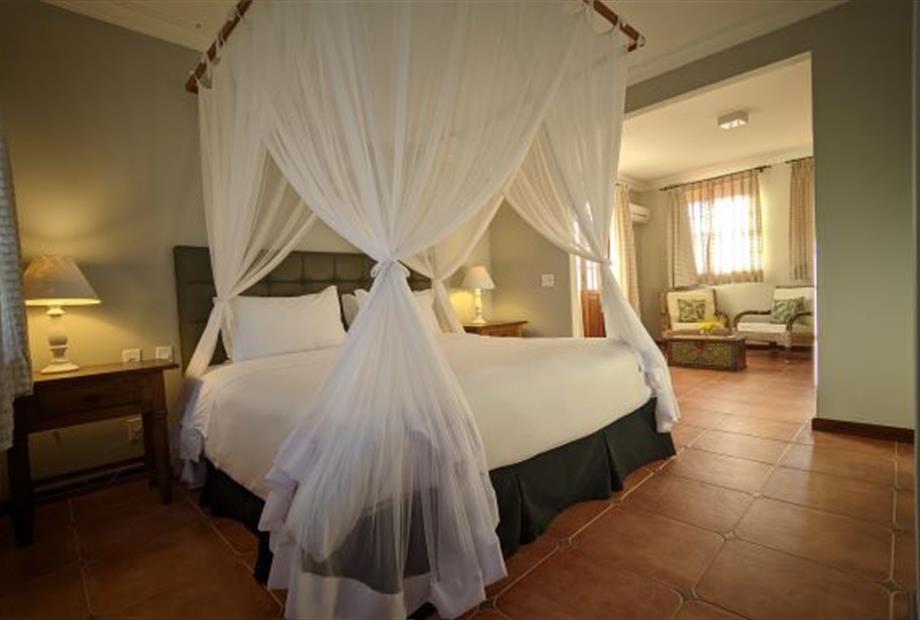 cópia de pxl_20211125_165552273.jpg