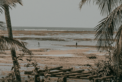 QUARTO DUPLO DELUXE COM VISTA DO MAR