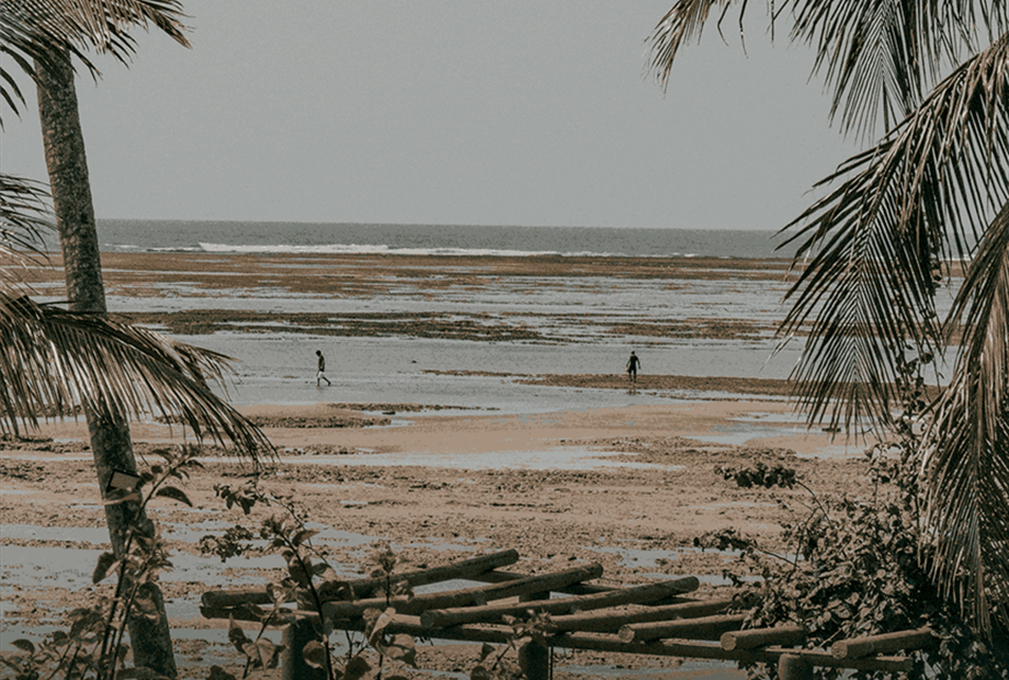 prancheta 1-3_11zon.png