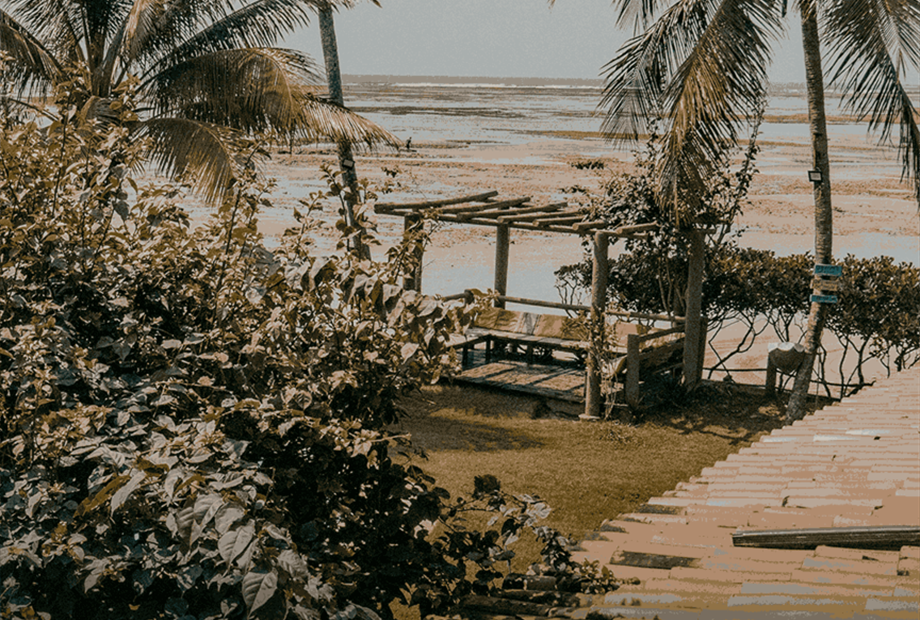 prancheta 1-1_11zon.png