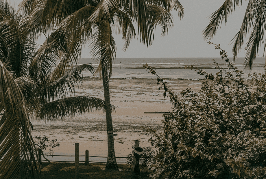 prancheta 1-2_11zon.png