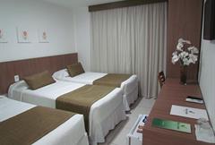 STANDARD TRIPLO TWIN