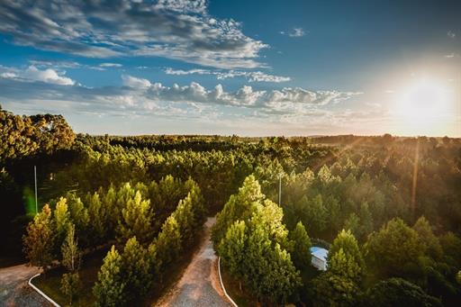 _mg_0118-_mg_0120 (1)_Easy-Resize.com.jpg