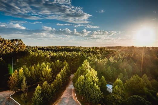 _mg_0118-_mg_0120 (1)_Easy-Resize.com.jpg