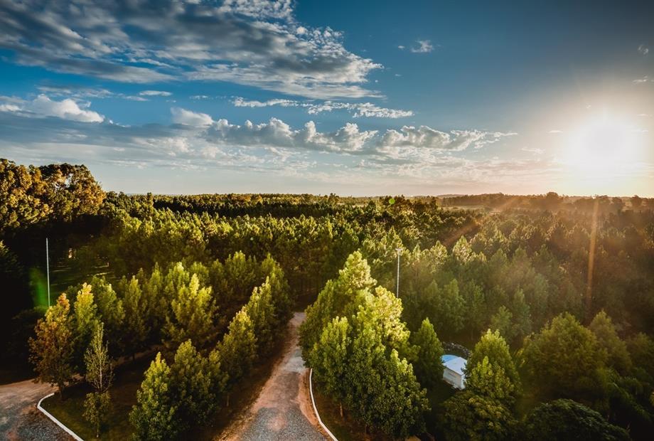 _mg_0118-_mg_0120 (1)_Easy-Resize.com.jpg