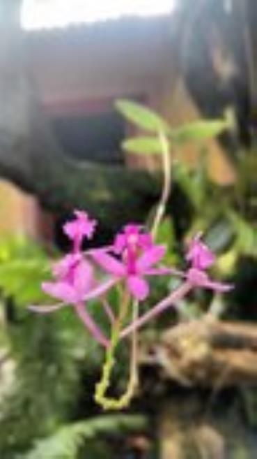 img_20201126_102823966.jpg