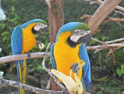 Pousada Terê Parque