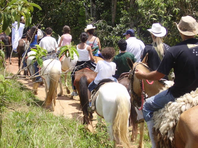 2 - Cópia.jpg
