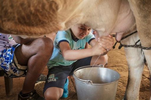 WhatsApp Image 2019-08-28 at 13.16.24.jpeg