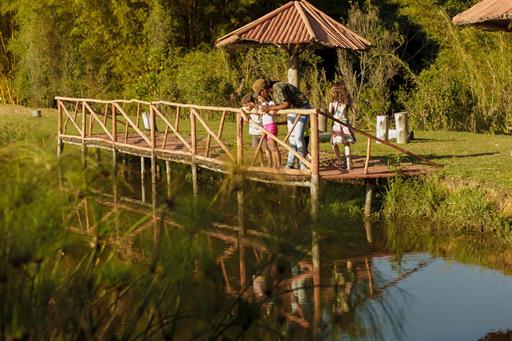 WhatsApp Image 2019-08-28 at 13.22.12.jpeg