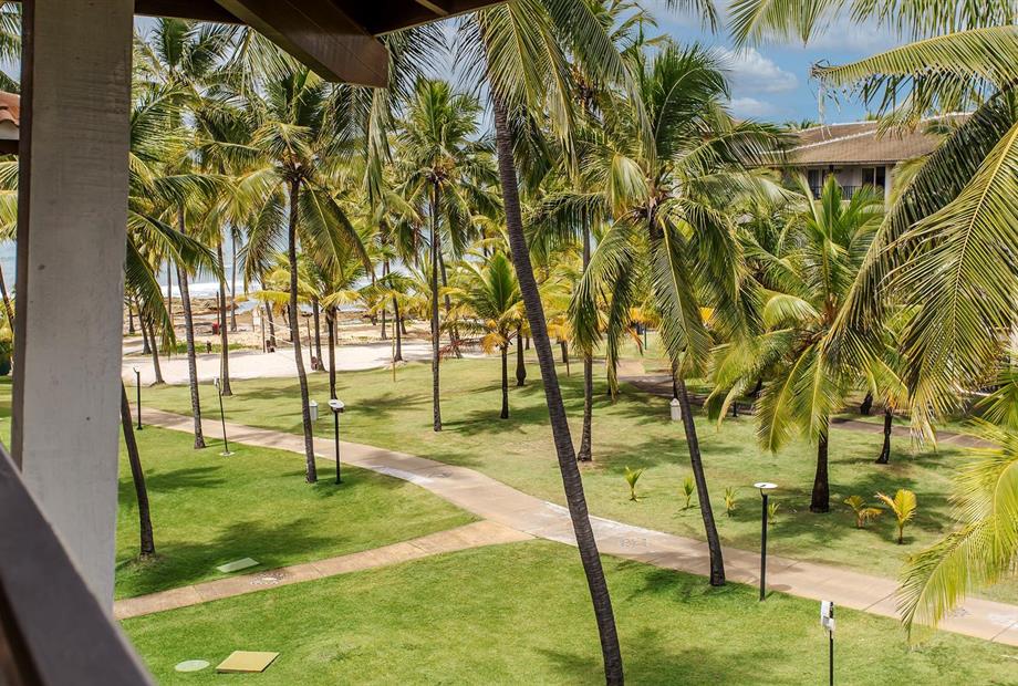 standard adpt-17.jpg