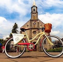 omnibees bicileta.jpg