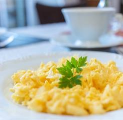 micheline sites (6).jpg