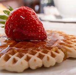 micheline sites (4).jpg