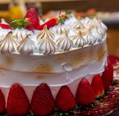 micheline sites (7).jpg