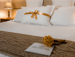 Micheline Hotel Tricot