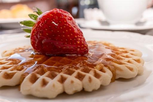 micheline sites (4).jpg