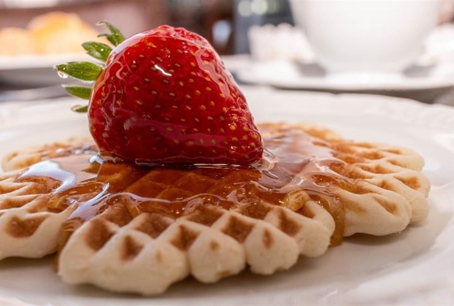 micheline sites (4).jpg