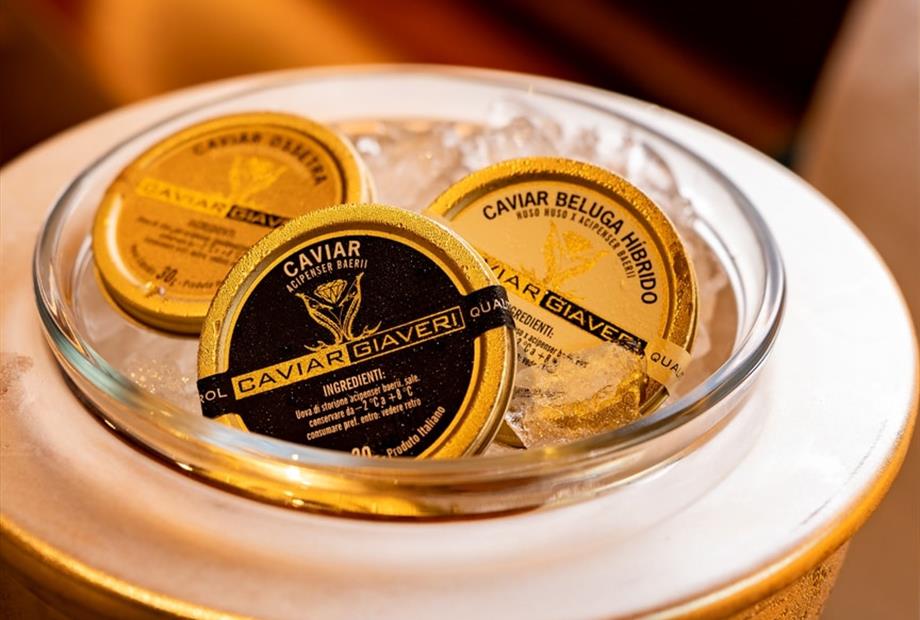 whatsapp image 2023-03-13 at 13.57.43 (13).jpeg