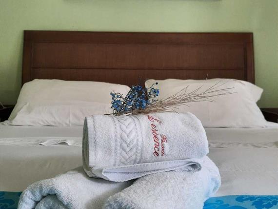 whatsapp image 2022-10-19 at 10.05.03.jpeg