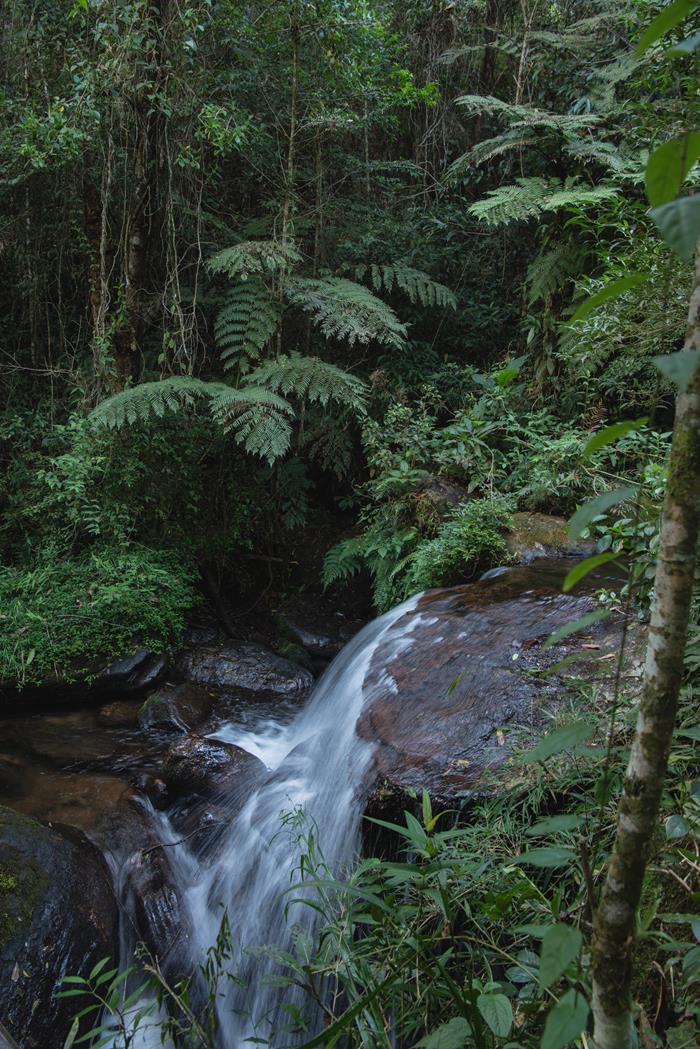 Pousada Pedra Fina 4