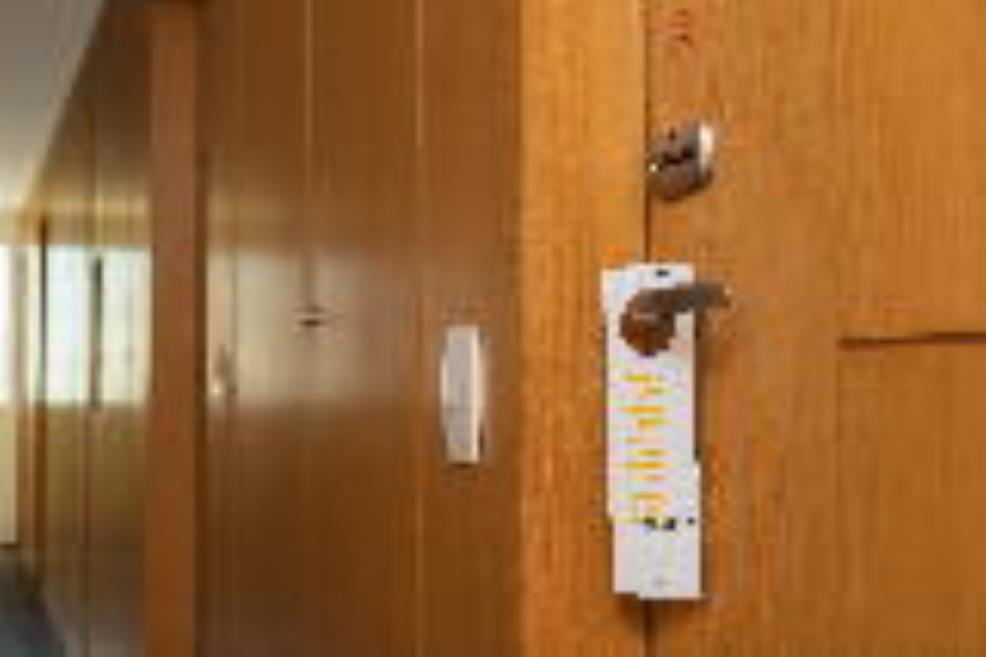 goldentulip-22.jpg