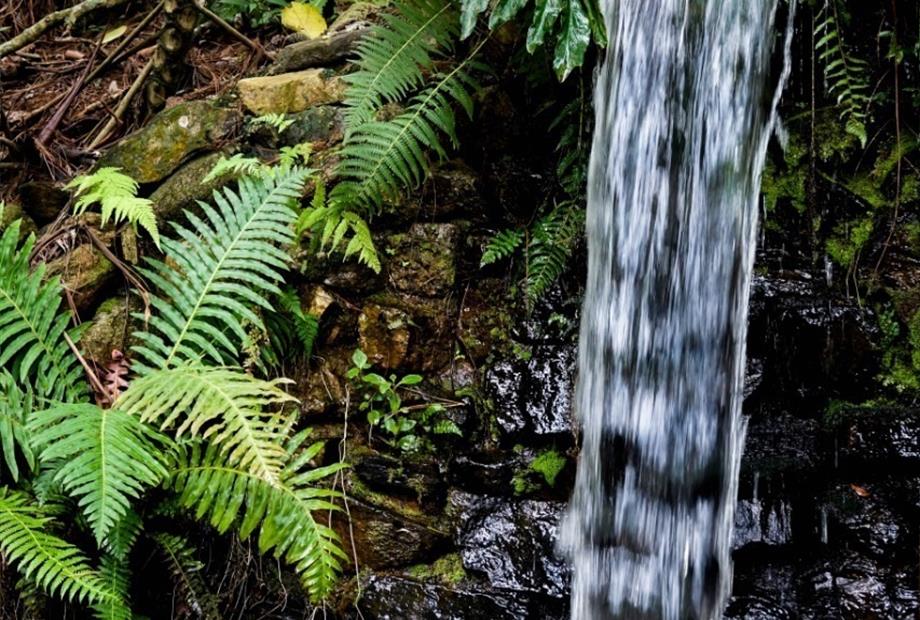 WhatsApp Image 2020-02-12 at 12.09.06.jpeg