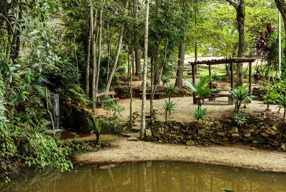 WhatsApp Image 2020-02-12 at 12.21.09.jpeg