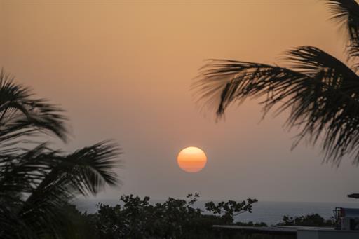 por cleison silva (388)_easy-resize.com.jpg