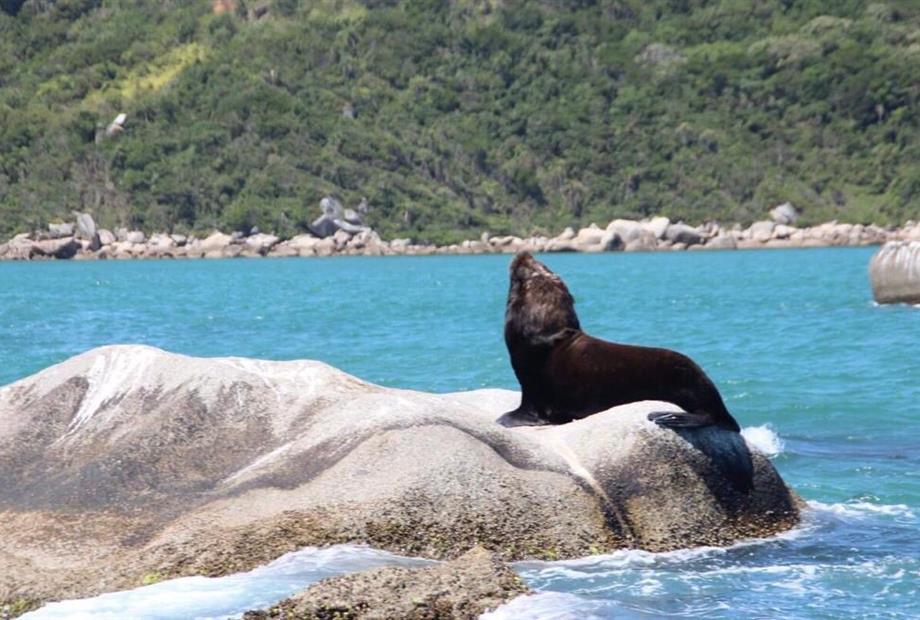 whatsapp image 2022-12-09 at 09.50.19.jpeg