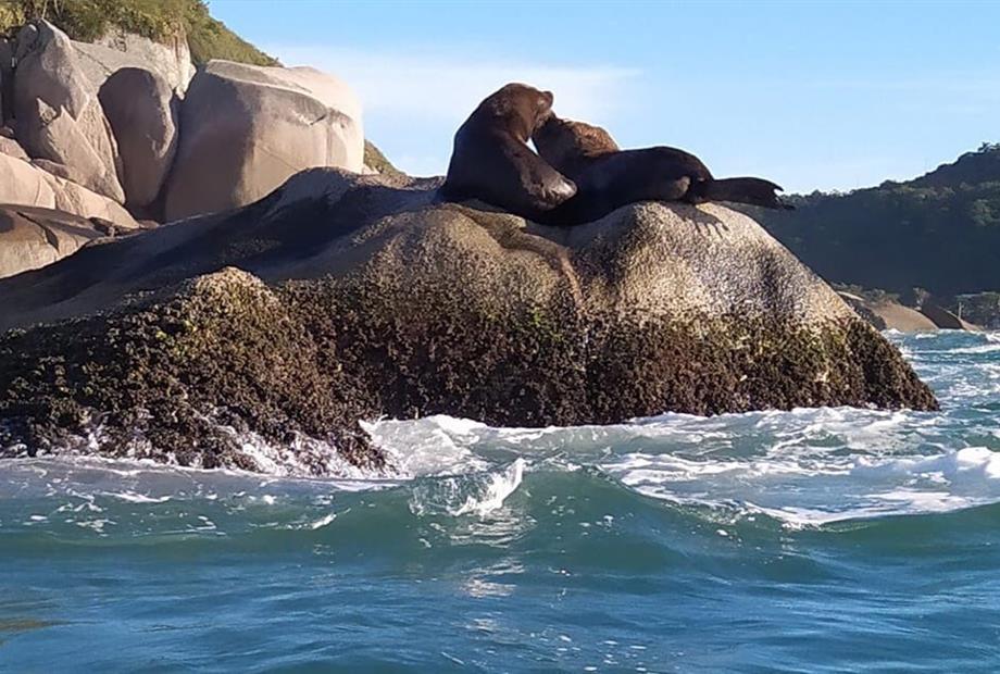 whatsapp image 2022-12-09 at 09.50.19 (1).jpeg