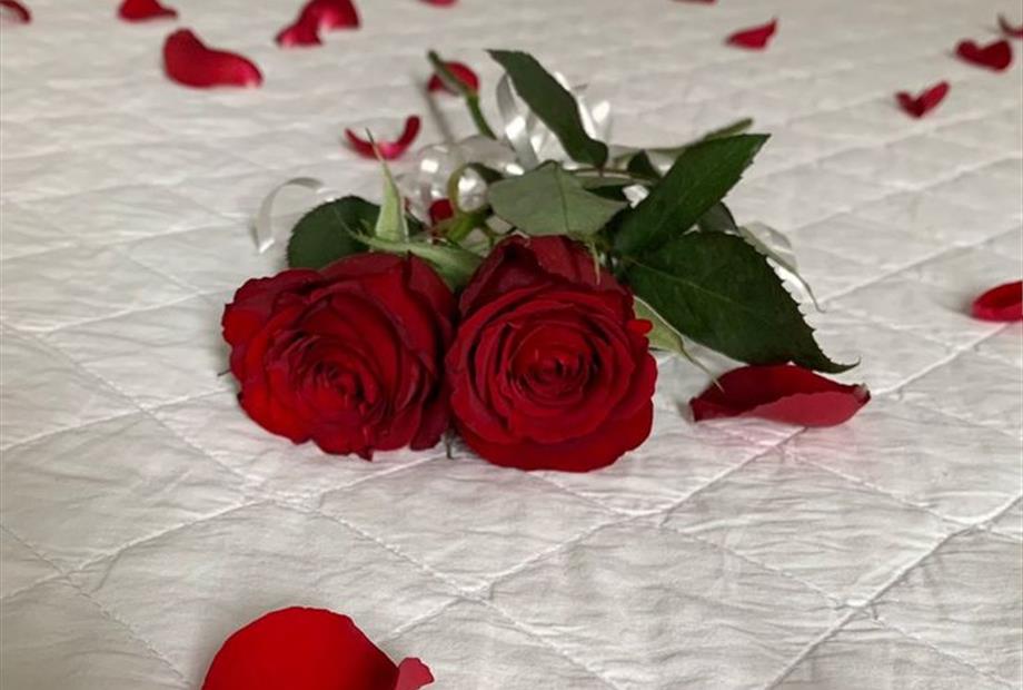 whatsapp image 2022-12-09 at 09.50.18.jpeg