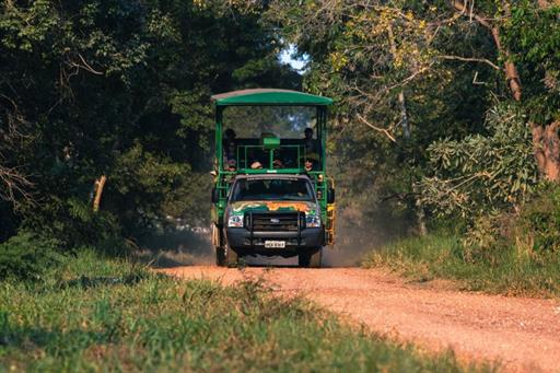 safari fotografico.jpg