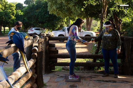 whatsapp image 2020-07-24 at 20.29.47.jpeg