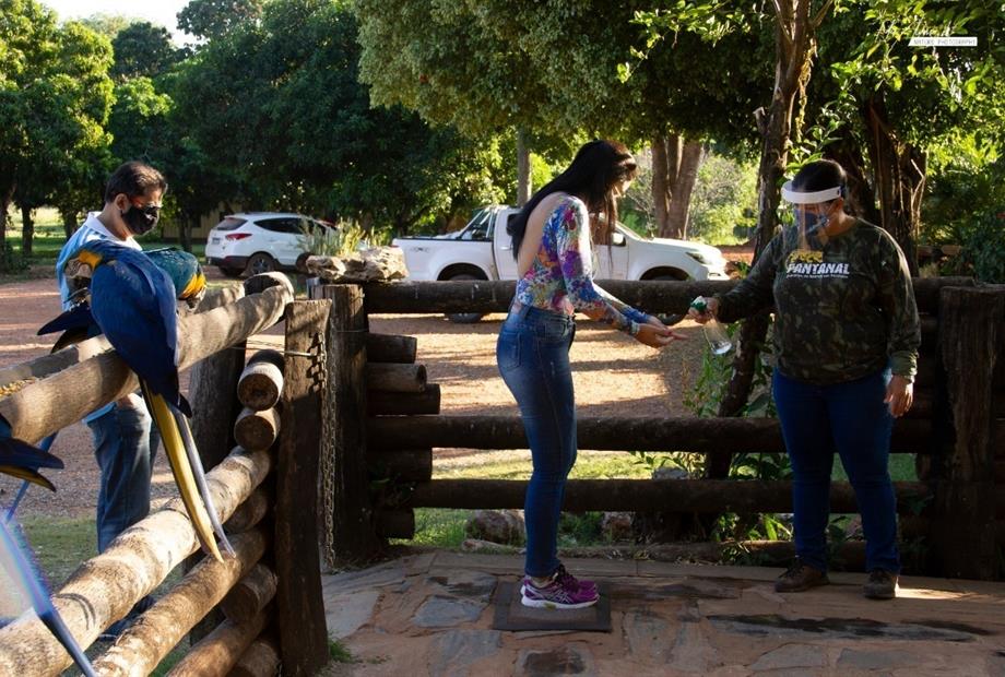 whatsapp image 2020-07-24 at 20.29.47.jpeg