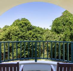 vista mangue e natureza.jpg