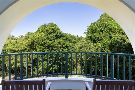 vista mangue e natureza.jpg