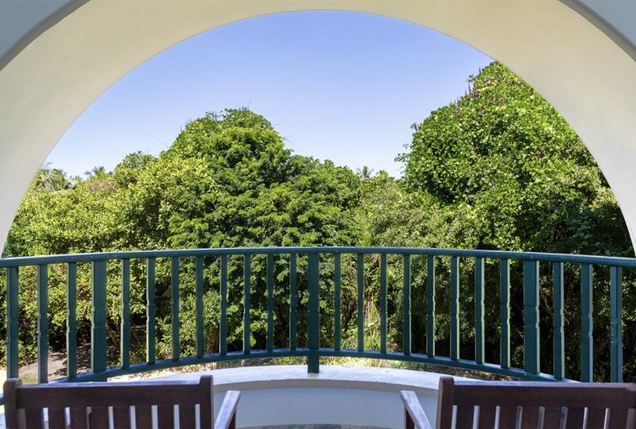 vista mangue e natureza.jpg