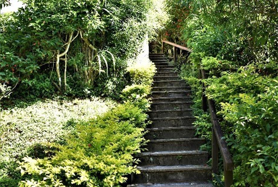 photo resizer 2022_04_23_09_41_10 (8).jpg