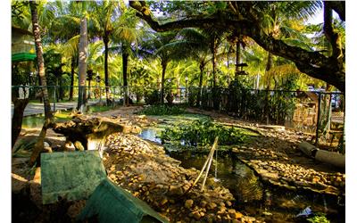 MINI ZOO - LAGO