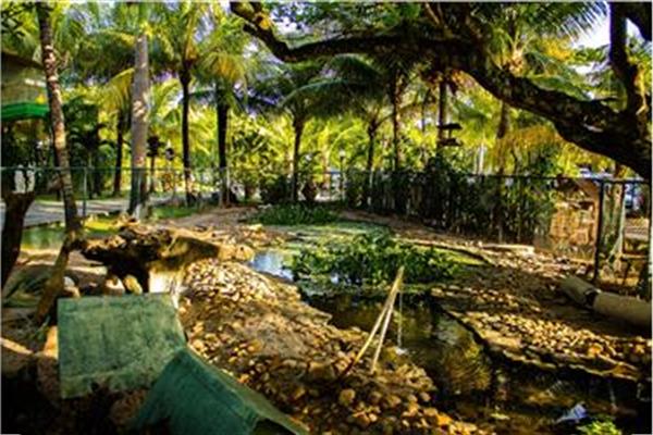 Photo 19 of Catussaba Resort Hotel