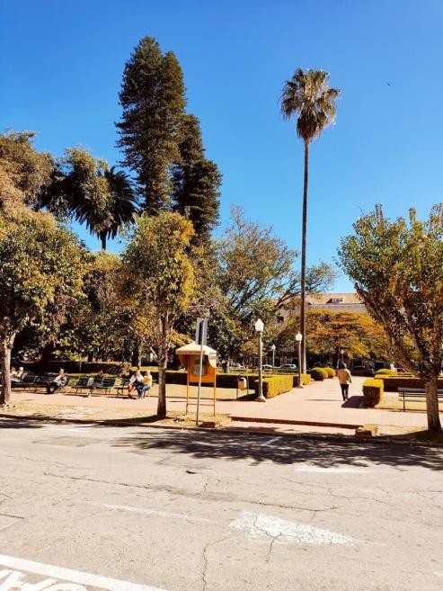 8jpg.jpg